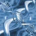 Прорыв в генетике: созданы искусственные ДНК и РНК.