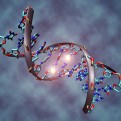 Грегг Брейден: Молекула ДНК может исцелиться при помощи чувств человека